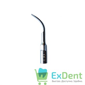 {{productViewItem.photos[photoViewList.activeNavIndex].Alt || productViewItem.photos[photoViewList.activeNavIndex].Description || 'Насадка G2 к скалеру Woodpecker (EMS)'}}