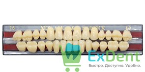 Гарнитур акриловых зубов A2, T6, Naperce и New Ace (28 шт) 20160