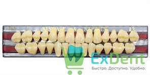 Гарнитур акриловых зубов A3, TL5, Naperce и New Ace (28 шт) 20154