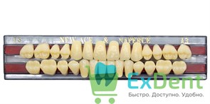 Гарнитур акриловых зубов A3, T3, Naperce и New Ace (28 шт) 14087