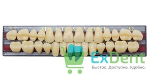 Гарнитур акриловых зубов A2, TL7, Naperce и New Ace (28 шт) 17259
