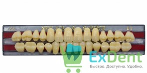 Гарнитур акриловых зубов A3, S6, Naperce и New Ace (28 шт) 20152
