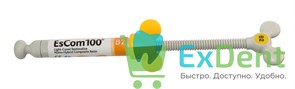 EsCom (Еском) 100 B2 - наногибридный пломбировочный материал (4 г) 20786