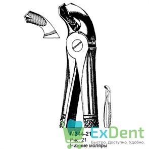 {{productViewItem.photos[photoViewList.activeNavIndex].Alt || productViewItem.photos[photoViewList.activeNavIndex].Description || 'Щипцы, Legrin, №344/21 для удаления моляров нижней челюсти'}}