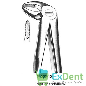 {{productViewItem.photos[photoViewList.activeNavIndex].Alt || productViewItem.photos[photoViewList.activeNavIndex].Description || 'Щипцы, Legrin, №355/13 для удаления премоляров нижней челюсти'}}