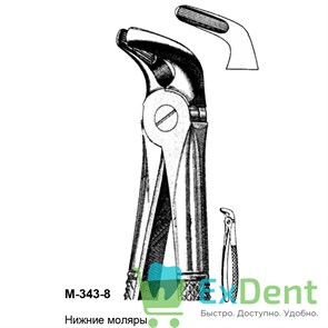 {{productViewItem.photos[photoViewList.activeNavIndex].Alt || productViewItem.photos[photoViewList.activeNavIndex].Description || 'Щипцы, Legrin, №343/8 для удаления нижних моляров двухсторонние'}}