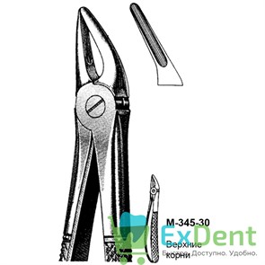 {{productViewItem.photos[photoViewList.activeNavIndex].Alt || productViewItem.photos[photoViewList.activeNavIndex].Description || 'Щипцы, Legrin, №345/30 для удаления корней верхней челюсти'}}