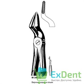 {{productViewItem.photos[photoViewList.activeNavIndex].Alt || productViewItem.photos[photoViewList.activeNavIndex].Description || 'Щипцы, Legrin, №348/52 широкие губки для удаления клыков и корней верхней челюсти'}}