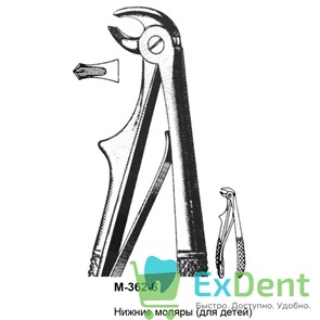 {{productViewItem.photos[photoViewList.activeNavIndex].Alt || productViewItem.photos[photoViewList.activeNavIndex].Description || 'Щипцы, Legrin, №362/6 для удаления моляров нижней челюсти, для детей'}}