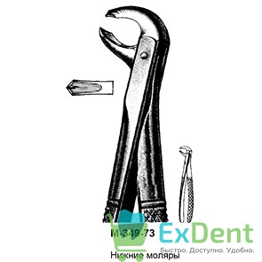 {{productViewItem.photos[photoViewList.activeNavIndex].Alt || productViewItem.photos[photoViewList.activeNavIndex].Description || 'Щипцы, Legrin, №349/73 для удаления моляров нижней челюсти'}}