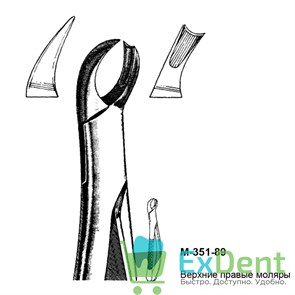 {{productViewItem.photos[photoViewList.activeNavIndex].Alt || productViewItem.photos[photoViewList.activeNavIndex].Description || 'Щипцы, Legrin, №351/89 для удаления моляров верхней челюсти правой стороны'}}