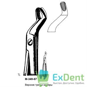 {{productViewItem.photos[photoViewList.activeNavIndex].Alt || productViewItem.photos[photoViewList.activeNavIndex].Description || 'Щипцы, Legrin, №349/67 для удаления третьих моляров верхней челюсти'}}