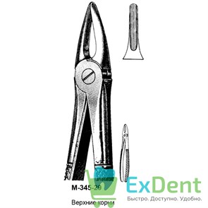 {{productViewItem.photos[photoViewList.activeNavIndex].Alt || productViewItem.photos[photoViewList.activeNavIndex].Description || 'Щипцы, Legrin, №345/29 для удаления корней верхней челюсти'}}