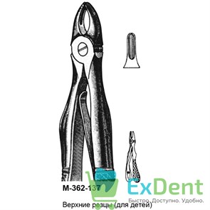 {{productViewItem.photos[photoViewList.activeNavIndex].Alt || productViewItem.photos[photoViewList.activeNavIndex].Description || 'Щипцы, Legrin, №362/137 для удаления резцов верхней челюсти, для детей'}}