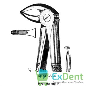 {{productViewItem.photos[photoViewList.activeNavIndex].Alt || productViewItem.photos[photoViewList.activeNavIndex].Description || 'Щипцы, Legrin, №346/33C для удаления корней нижней челюсти'}}