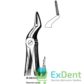 {{productViewItem.photos[photoViewList.activeNavIndex].Alt || productViewItem.photos[photoViewList.activeNavIndex].Description || 'Щипцы, Legrin, №348/51С для удаления корней верхней челюсти, узкие губки'}}