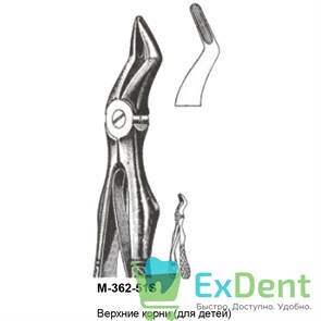 {{productViewItem.photos[photoViewList.activeNavIndex].Alt || productViewItem.photos[photoViewList.activeNavIndex].Description || 'Щипцы, Legrin, №362/51S для удаления корней верхней челюсти, для детей'}}