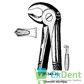 {{productViewItem.photos[photoViewList.activeNavIndex].Alt || productViewItem.photos[photoViewList.activeNavIndex].Description || 'Щипцы, Legrin, №344/22 для удаления моляров нижней челюсти'}}