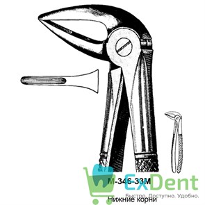 {{productViewItem.photos[photoViewList.activeNavIndex].Alt || productViewItem.photos[photoViewList.activeNavIndex].Description || 'Щипцы, Legrin, №346/33M для удаления корней нижней челюсти, узкие'}}