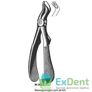 {{productViewItem.photos[photoViewList.activeNavIndex].Alt || productViewItem.photos[photoViewList.activeNavIndex].Description || 'Щипцы, Legrin, №363/3 для удаления моляров верхней челюсти, для детей'}}