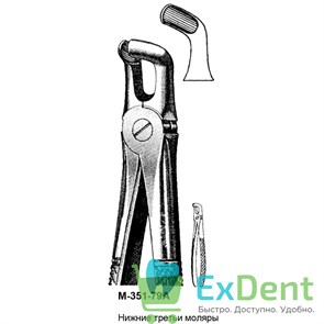 {{productViewItem.photos[photoViewList.activeNavIndex].Alt || productViewItem.photos[photoViewList.activeNavIndex].Description || 'Щипцы, Legrin, №351/79A для удаления третьих моляров нижней челюсти'}}