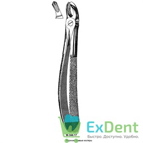 {{productViewItem.photos[photoViewList.activeNavIndex].Alt || productViewItem.photos[photoViewList.activeNavIndex].Description || 'Щипцы, Legrin, №344/17 для удаления  моляров верхней челюсти правой стороны'}}