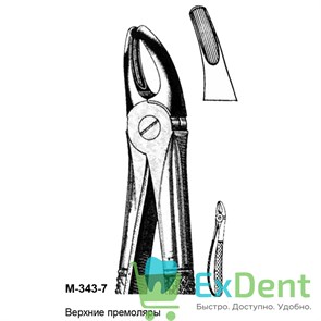 {{productViewItem.photos[photoViewList.activeNavIndex].Alt || productViewItem.photos[photoViewList.activeNavIndex].Description || 'Щипцы, Legrin, №343/7 для удаления премоляров верхней челюсти'}}