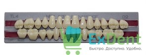 Гарнитур акриловых зубов D2, TL4, Naperce и New Ace (28 шт) 16967