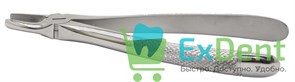 Щипцы №2 для верхних боковых зубов и клыков (BD700/2) 17267