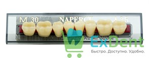 Гарнитур акриловых боковых зубов A3.5, M30L Naperce Posterior (8 шт) 17965