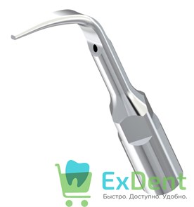 Насадка G4 к скалеру Woodpecker (EMS) 15954