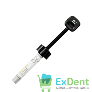 EsCom (Еском) 250 B2 - цирконосодержащий светоотверждаемый композитный материал (4 г) 19552