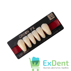 Гарнитур фронтальных зубов  Crown PX - нижние, цвет A3 фасон N71L, композитные трехслойные (6шт) 19547