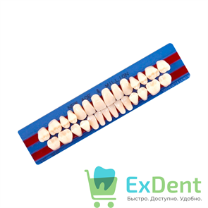 Гарнитур акриловых зубов A2, S5, M32, Million и New Ace (28 шт) 13144