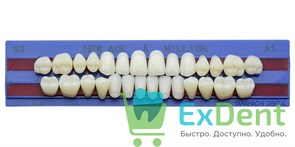 {{productViewItem.photos[photoViewList.activeNavIndex].Alt || productViewItem.photos[photoViewList.activeNavIndex].Description || 'Гарнитур акриловых зубов A1, S3, M30, Million и New Ace (28 шт)'}}