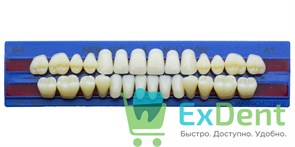 Гарнитур акриловых зубов A1, S4, M32, Million и New Ace (28 шт) 21052