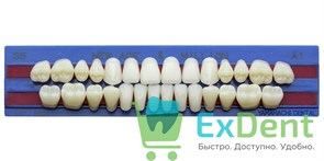 Гарнитур акриловых зубов A1, S5, M32, Million и New Ace (28 шт) 21625