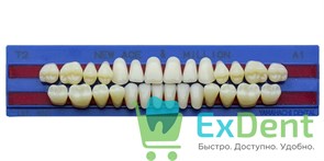 Гарнитур акриловых зубов A1, T2, M30, Million и New Ace (28 шт) 17795