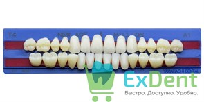 Гарнитур акриловых зубов A1, T4, M30, Million и New Ace (28 шт) 18663