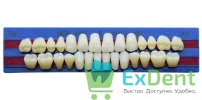 Гарнитур акриловых зубов A1, T6, M32, Million и New Ace (28 шт) 14878