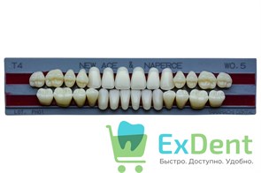 {{productViewItem.photos[photoViewList.activeNavIndex].Alt || productViewItem.photos[photoViewList.activeNavIndex].Description || 'Гарнитур акриловых зубов W05, T4, Naperce и New Ace (28 шт)'}}