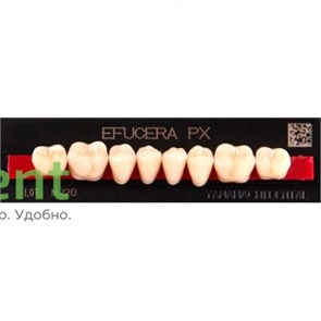 {{productViewItem.photos[photoViewList.activeNavIndex].Alt || productViewItem.photos[photoViewList.activeNavIndex].Description || 'Гарнитур боковых зубов  Efucera PX - нижние, цвет A2 фасон 32, композитные трехслойные (8шт)'}}