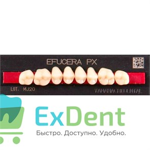 {{productViewItem.photos[photoViewList.activeNavIndex].Alt || productViewItem.photos[photoViewList.activeNavIndex].Description || 'Гарнитур боковых зубов  Efucera PX - верхние, цвет A3 фасон 34, композитные трехслойные (8шт)'}}