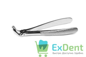 {{productViewItem.photos[photoViewList.activeNavIndex].Alt || productViewItem.photos[photoViewList.activeNavIndex].Description || 'Щипцы ф. 21 английская форма, стандартная ручка'}}