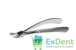 {{productViewItem.photos[photoViewList.activeNavIndex].Alt || productViewItem.photos[photoViewList.activeNavIndex].Description || 'Щипцы ф. 89 английская форма, стандартная ручка'}}