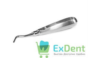 {{productViewItem.photos[photoViewList.activeNavIndex].Alt || productViewItem.photos[photoViewList.activeNavIndex].Description || 'Апикальный элеватор ф. APICAL 303 R, угловой'}}