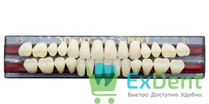 Гарнитур акриловых зубов B1, T5, Naperce и New Ace (28 шт) 14092