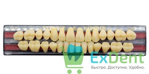 Гарнитур акриловых зубов A3,5, TL4, Naperce и New Ace (28 шт) 21122