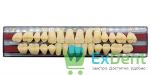 Гарнитур акриловых зубов A3,5, T6, Naperce и New Ace (28 шт) 20172