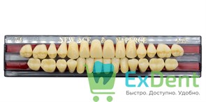 Гарнитур акриловых зубов A3,5, T4, Naperce и New Ace (28 шт) 20174